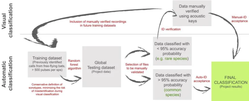 Figure 1. Diagram illustrating the classification process from automatic classification to 