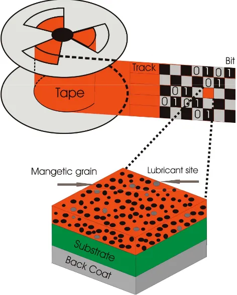 Figure 1.2: The cross-section of longitudinal magnetic recording tape.  The magneticmedium is composed of a ferromagnetic oxide grown onto a thin plastic substrate