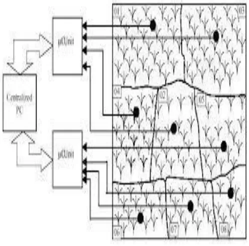 Figure – (4) Application to field 