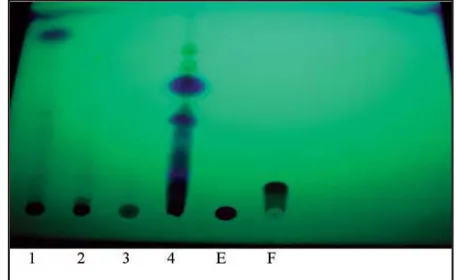 Figure 6b. System, toluen:ether (1:1), saturatedwith acetic acid (10%); Visualization UV-366 nm,sprayed with KOH/EtOH (10%)