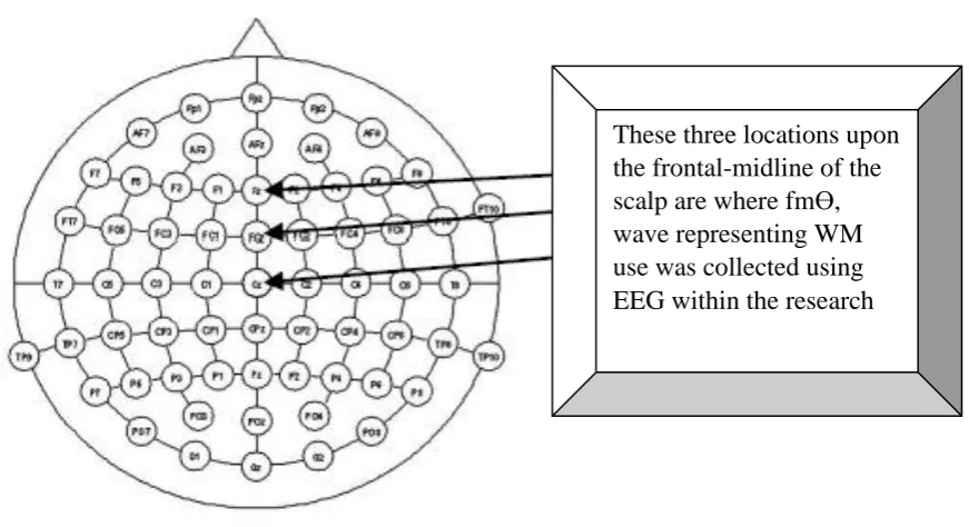 Figure 3. A map of the locations of possible approximate EEG electrode locations on the 