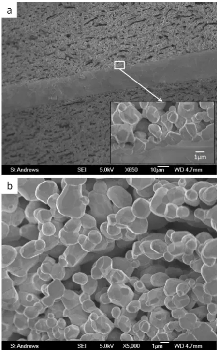 Fig. 2 Micrograph of MgFeCrO4 / YSZ / MgFeCrO4 scaffold, with detail of the spinel/YSZ interface and the spinel porous layer