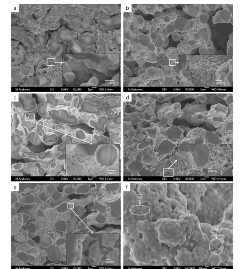 Fig. 6 SEM images in cross-section of: (a) MgFeCrO5 4/LSCM; (b) MgFeCrO4/LSCM/CeO2; (c) MgFeCrO4/LSCM/CGO; (d) MgFeCrO4/LSCM/CeO2/Pd; (e) MgFeCrO4/LSCM/CGO/Pd; (f) surface micrograph for MgFeCrO4/LSCM/CGO/Pd - Pd particles 