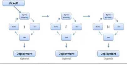 Figure 4: The Agile model (TRY QA, 2018) 