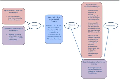 Fig. 1 Mixed methods study configuration: interaction between feasibility trial, feasibility economic evaluation and qualitative and quantitativesub studies