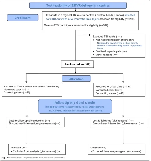 Fig. 2 Proposed flow of participants through the feasibility trial