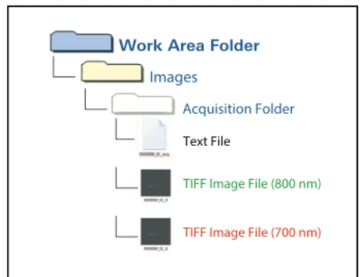 Figure 1. The Work Area folder contains Acquisition Folders.