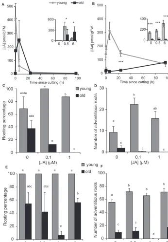Fig. 6. Endogenous levels of jasmonic acid and auxin in the rooting zone, and the exogenous response to jasmonic acid and auxin in the rooting zone