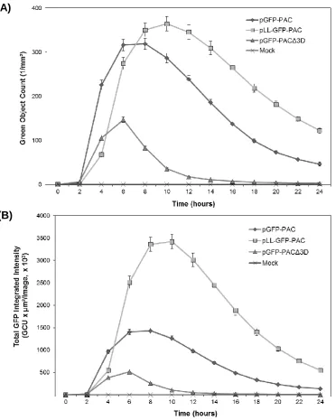 Figure 3.4. Time course of FMDV replicon-derived GFP fluorescence.  Data 