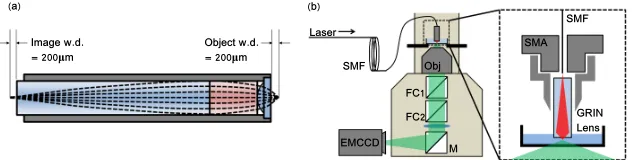 Figure 1. Schematic of the GRIN microlens (a) and the ﬁber optical trapping probe inte-grated into a commercial ﬂuorescence microscopy platform (b)