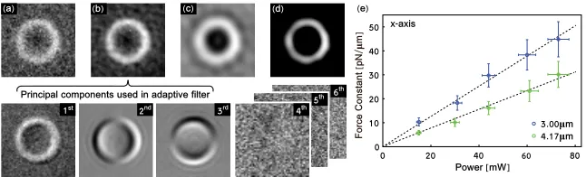 Figure 2. Illustration of the image ﬁltering process and force characterization. (a) shows anoriginal frame from a movie of a 3dependence given by.00µm diameter bead trapped with 60mW