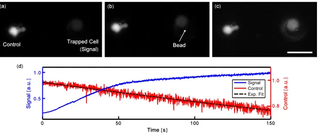 Figure 3. Selected video frames (a-c) showing an optically trapped T-cell (Signal), pre-loaded with Fluo-4, being positioned to form an immune synapse with an antibody coatedbead