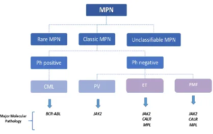 Figure 2. Schematic diagram of MPNs classification. 