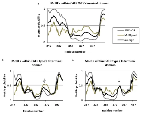 Figure 13. Computational analysis of MoRFs within the C-terminal domain of CALR wt, type 1 and type 2 mutants