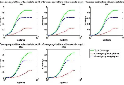 Figure 3. Graphs obtained using Monte Carlo simulations for diﬀerent lengths ofthe substrate, showing how the coverage by the polymers changes as RSA proceeds.Parameter values: r = 3, s = 5, p = 0.2, averages are taken over 1000 iterations.