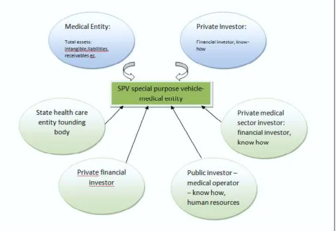 Figure 1.  SPV7 Shareholders Diagram under the PPPMedical Entity. Source: The Author’s Own Development