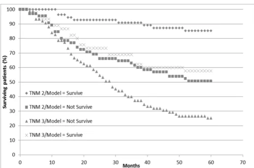 Figure 5. Survival curves for 4 distinct patient sets grouped on TNM stage and model prognosis 