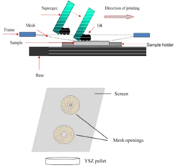 Fig. 2.3 Schematic picture of screene of screen-printing fabrication (Top: screen-printer;printer; Bottom:
