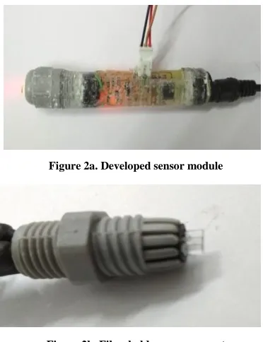 Figure 2a. Developed sensor module                   