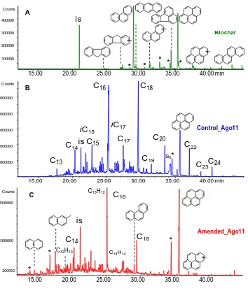 Figure 4.  Examples of total ion chromatograms for the hydropyrolysates (non-BCHyPy fraction)