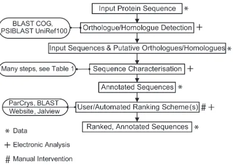 Figure 1. Overview of TarO Processes. Given a protein sequence, TarOsearches the COG database (11) to identify putative orthologues