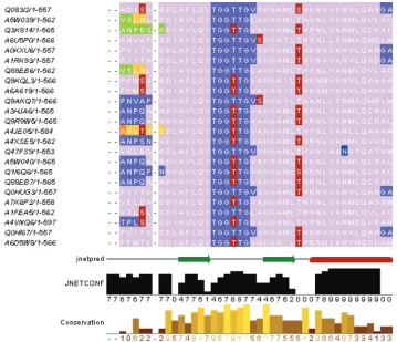 Figure 3. Visualisation of complex annotation. An annotated MSA is shown, viewed in Jalview (20,21)