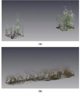 Figure 8. Point cloud spatial extent comparisons for (a) FARO—120 min  and (b) ZEB1—10 min