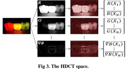 Fig 3. The HDCT space. 
