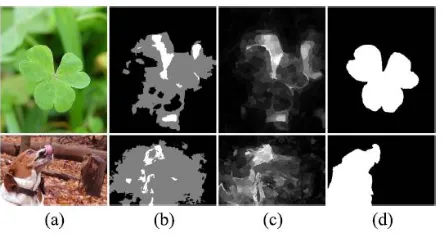 Fig. 7. Some examples of failure cases. (a) Input images. (b) Our initial trimap. (c) Our results