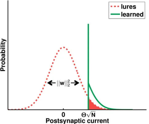 Fig 8. Schematic illustration of the postsynaptic current distributions. In the largepostsynaptic current elicited by lures (dashed line) is well described by a zero-mean Gaussian, whosevariance N limit, the hdhl2 i is determined by the squared Euclidean n