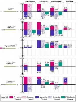 Figure 12. Summary of quantification of changes in levels upon Armadillo mutant overexpression