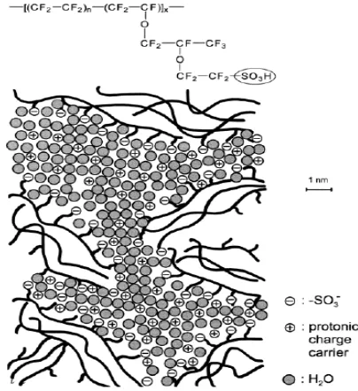 Figure 1-14: Chemical structure of Nafion [16]. 