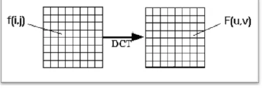Figure III.1 DCT Encoding 