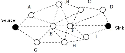 Figure IV.1 Gradient set-up between sink and source 