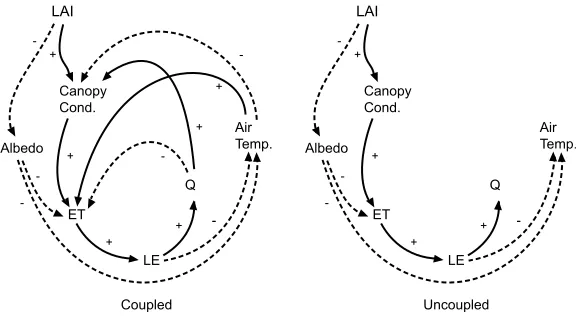 Figure 9.Flow diagram of the typical feedbacks resulting from a change in leaf area index (LAI), forthe (left) coupled and (right) uncoupled cases