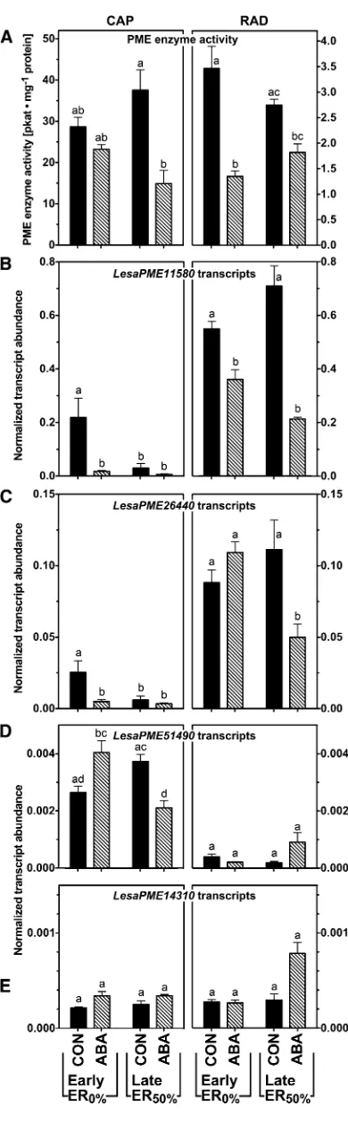 Figure 7. Spatial and temporal analysis of transcript abundances ofnovel garden cress (Lesa) group 2 PMEs in germinating seeds (18˚C andcontinuous light) by qRT-PCR