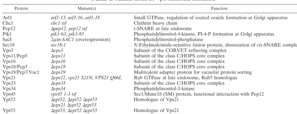 TABLE 2. Mutants tested for Vps8 membrane associationa