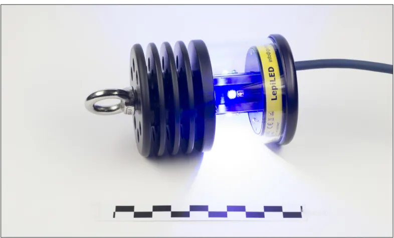 Figure 8. First exemplar of the commercially available lamp “LepiLED”, height ca. 88 mm, diameter ca