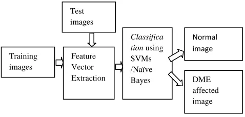 Figure 7.Stages in classification. 