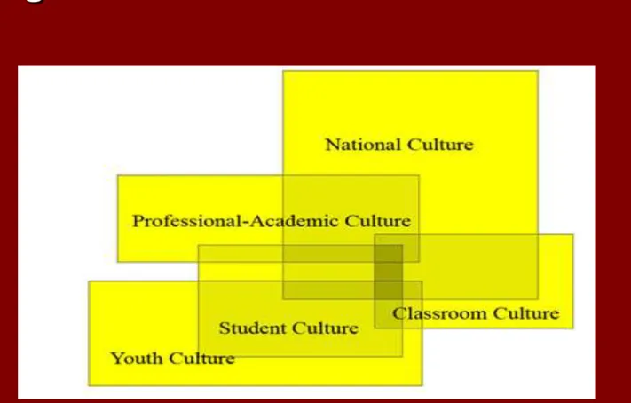 Figure 1: Interacting cultures in an educational setting [adapted from Holliday (1999) and Atkinson (2004)] 
