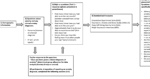 Figure 1. Structure of the online study & order in which materials were presented to participants