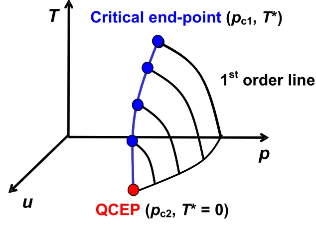 Figure 1.4. A line of 1stand, hence, become a  order phase transitions may terminate at a critical end point in the (p, T) plane