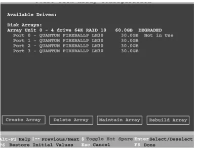 Figure 19.  Degraded RAID 10 Array Drive When Not in Use