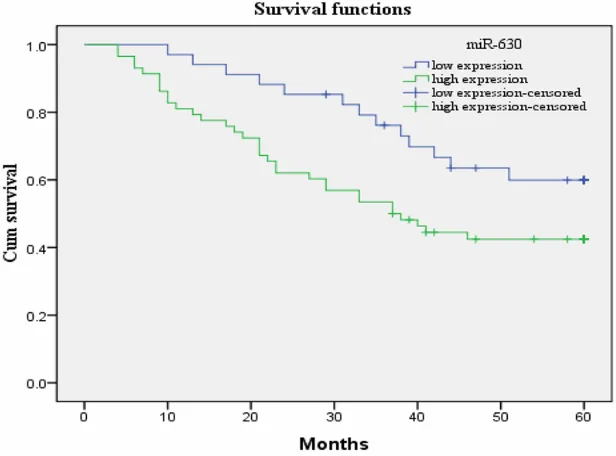 Figure 1. Kaplan-Meier postoperative survival curve for patterns of patients with renal cancer and miR-630 expression.