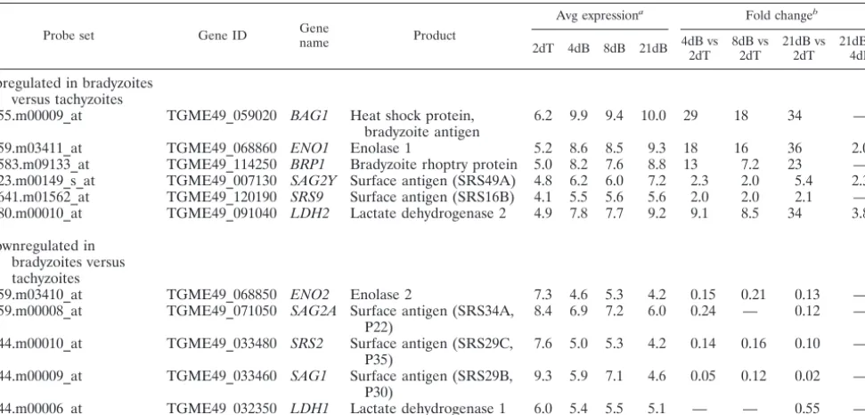 TABLE 2. Known bradyzoite and tachyzoite developmentally regulated genes