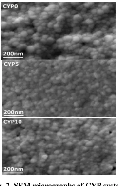 Fig. 2. SEM micrographs of CYP system 
