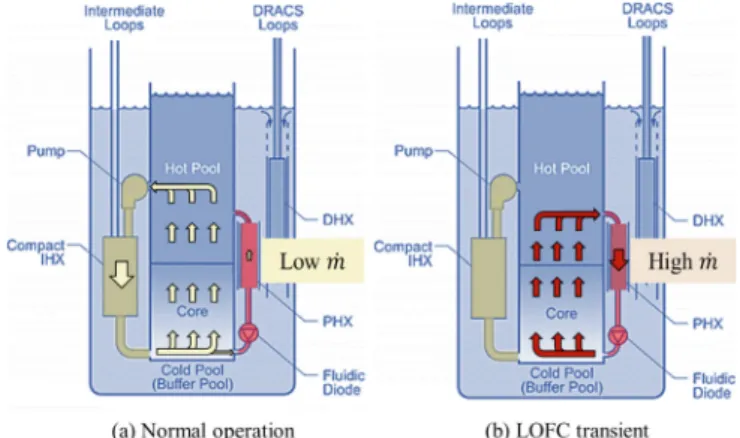Fig. 1. Flow paths for primary coolant in hybrid loop-pool type SFRs.