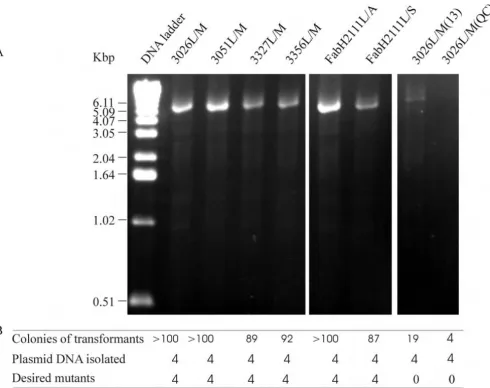 Figure 1C, primer 1 and primer 4, primer 3 and primer 2)misbridging the "nicks" during the amplification