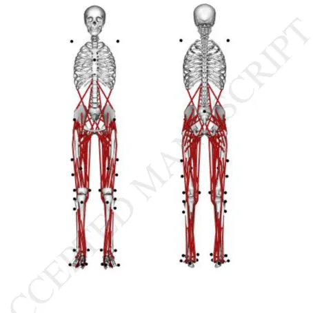 FIGURE 1. Musculoskeletal model gait2392 with applied marker model. 