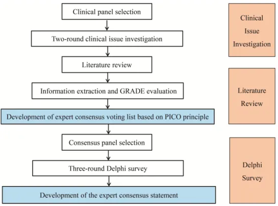 Figure 1 The development process of expert consensus.